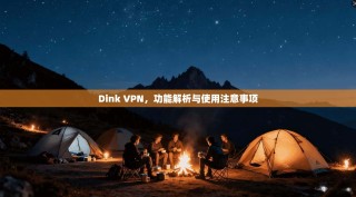 Dink VPN，功能解析与使用注意事项