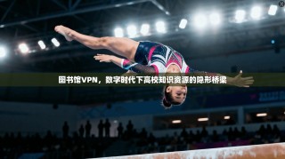 图书馆VPN，数字时代下高校知识资源的隐形桥梁