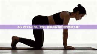 Ark VPN for PC，安全、隐私与网络自由的终极工具？