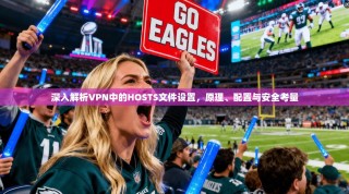 深入解析VPN中的HOSTS文件设置，原理、配置与安全考量