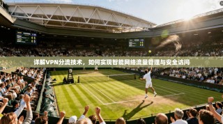 详解VPN分流技术，如何实现智能网络流量管理与安全访问