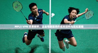 MPLS VPN 资费解析，企业专线服务的成本结构与优化策略