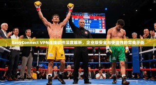 EasyConnect VPN连接软件深度解析，企业级安全与便捷性的完美平衡