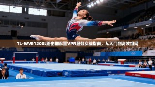 TL-WVR1200L路由器配置VPN服务实战指南，从入门到高效组网