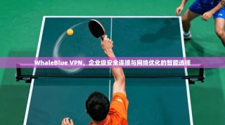 WhaleBlue VPN，企业级安全连接与网络优化的智能选择