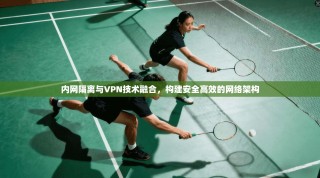 内网隔离与VPN技术融合，构建安全高效的网络架构