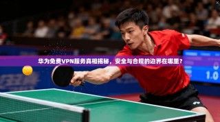 华为免费VPN服务真相揭秘，安全与合规的边界在哪里？