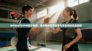 Winbox与VPN结合应用，提升网络管理效率与安全性的实战指南