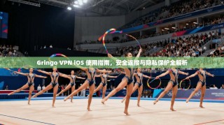 Gringo VPN iOS 使用指南，安全连接与隐私保护全解析