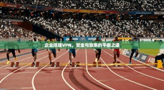 企业搭建VPN，安全与效率的平衡之道