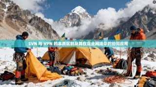 SVN 与 VPN 的本质区别及其在企业网络中的协同应用