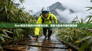 Rust语言开发的VPN解决方案，性能与安全并重的新选择