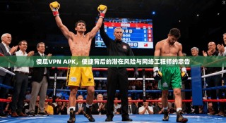 傻瓜VPN APK，便捷背后的潜在风险与网络工程师的忠告