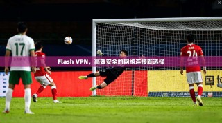 Flash VPN，高效安全的网络连接新选择