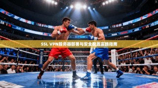 SSL VPN服务器部署与安全配置实践指南