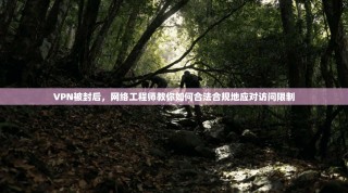 VPN被封后，网络工程师教你如何合法合规地应对访问限制