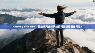 OneKey VPN APK，便捷访问全球网络的利器还是潜在风险？