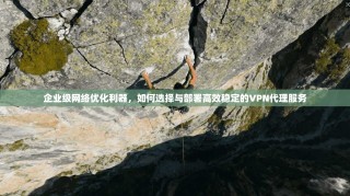 企业级网络优化利器，如何选择与部署高效稳定的VPN代理服务