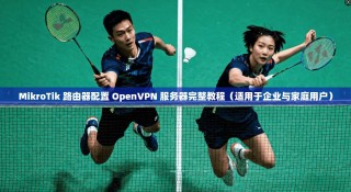 MikroTik 路由器配置 OpenVPN 服务器完整教程（适用于企业与家庭用户）