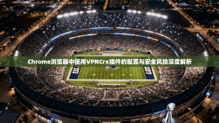 Chrome浏览器中使用VPNCrx插件的配置与安全风险深度解析