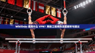Wikilinks 使用什么 VPN？网络工程师的深度解析与建议