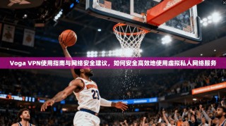 Voga VPN使用指南与网络安全建议，如何安全高效地使用虚拟私人网络服务