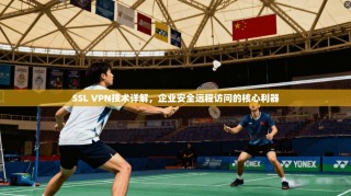 SSL VPN技术详解，企业安全远程访问的核心利器