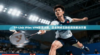 TP-Link IPSec VPN配置详解，企业网络互联的高效解决方案