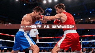SSL VPN图标详解，识别、使用与安全配置指南