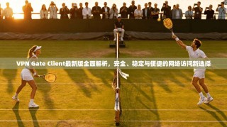 VPN Gate Client最新版全面解析，安全、稳定与便捷的网络访问新选择