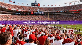 Ins付费VPN，安全与便利的权衡之道