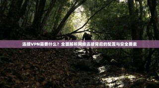 连接VPN需要什么？全面解析网络连接背后的配置与安全要素