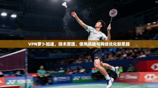 VPN萝卜加速，技术原理、使用风险与网络优化新思路