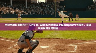 手把手教你如何在TP-Link TL-WR842N路由器上配置OpenVPN服务，实现家庭网络全局加密