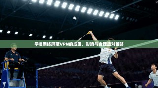 学校网络屏蔽VPN的成因、影响与合理应对策略