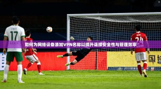 如何为网络设备添加VPN名称以提升连接安全性与管理效率