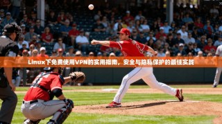 Linux下免费使用VPN的实用指南，安全与隐私保护的最佳实践