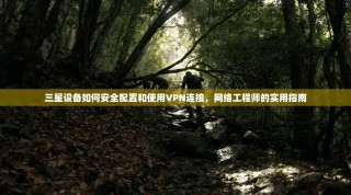 三星设备如何安全配置和使用VPN连接，网络工程师的实用指南