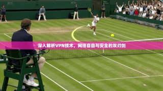 深入解析VPN技术，网络自由与安全的双刃剑