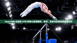 OpenVPN 与传统 VPN 的核心区别解析，技术、安全与应用场景全面对比
