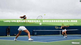 Laddy VPN 使用指南与网络安全建议，如何安全高效地使用虚拟私人网络服务