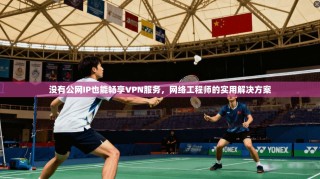没有公网IP也能畅享VPN服务，网络工程师的实用解决方案