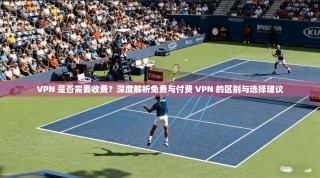 VPN 是否需要收费？深度解析免费与付费 VPN 的区别与选择建议