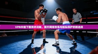 VPN中继下载技术详解，提升网络效率与隐私保护的新选择