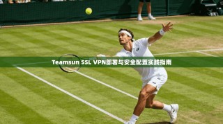 Teamsun SSL VPN部署与安全配置实践指南