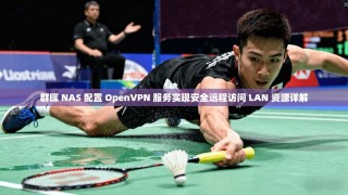 群晖 NAS 配置 OpenVPN 服务实现安全远程访问 LAN 资源详解