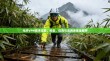 光纤VPN技术详解，种类、优势与应用场景全解析