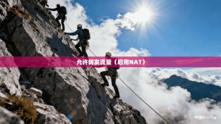 允许转发流量（启用NAT）