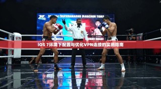 iOS 7环境下配置与优化VPN连接的实用指南