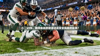小二VPN，网络自由的捷径还是安全风险的陷阱？